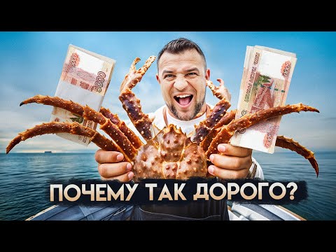 Видео: КАМЧАТСКИЙ КРАБ — как добывают и готовят