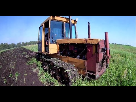 Видео: ДТ-75МЛ. Пашем пары. 1/2