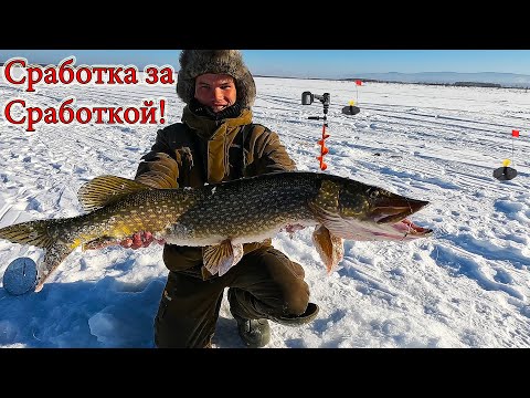 Видео: ШОК! Моя лучшая рыбалка на жерлицы! ЭТО РЕКОРД! ЩУКИ МОНСТРЫ!