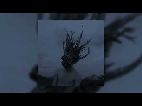 Видео: герр маннелиг (slowed + reverb)