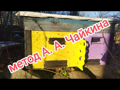 Видео: метод А. А. Чайкина