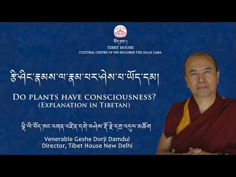 Видео: Геше Дордже Дамдул. Обладают ли растения сознанием?