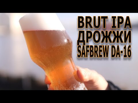 Видео: Brut IPA дрожжи Safbrew DA-16