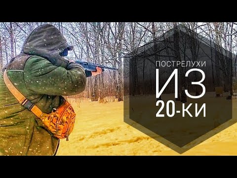 Видео: Пострелухи из 20-ки крупной дробью