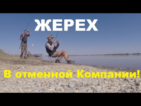 Видео: Жерех, в ОТМЕНОЙ КОМПАНИИ ❕