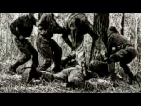 Видео: Боевые офицеры