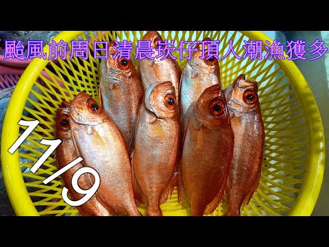 Видео: Утром 9 ноября, в воскресенье перед тайфуном Фэншэнь, в Канзидине было много людей и было много м...