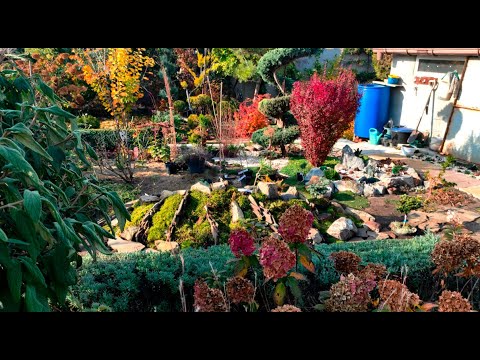 Видео: Квіти жовтня. Початок робіт над кам'яною гіркою