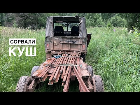 Видео: Выкапываем брошенные деньги | Нашли хижину лесника