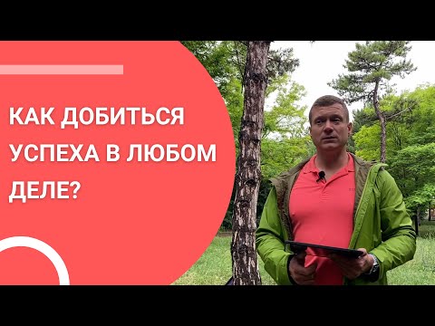 Видео: Как добиться успеха в любом деле?