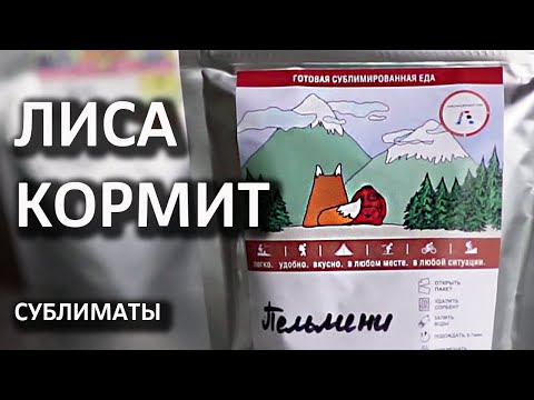 Видео: Новые сублиматы: Лиса Кормит