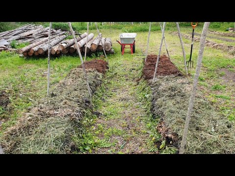 Видео: Закладка органической грядки для огурцов