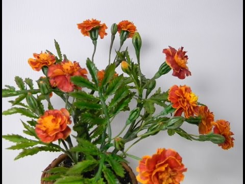 Видео: Бархатцы из холодного фарфора