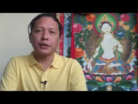 Видео: Лунтрул Дечен Гьюрме Ринпоче. Интервью в Москве (2014)