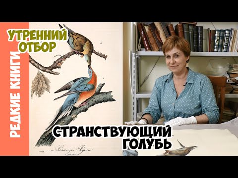 Видео: Самое массовое уничтожение вида. Варвара Миронова