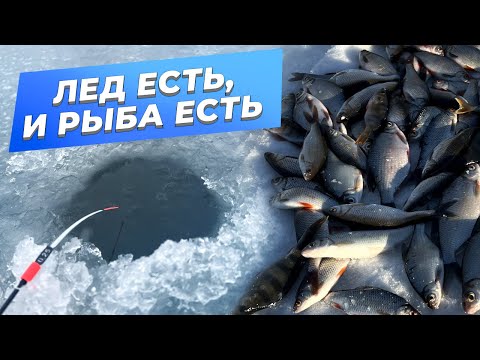 Видео: Попал в ЯМЕ на раздачу ГУСТЕРЫ! ЩУКА на жерлицы. Крутая рыбалка на малой реке в хорошей компании.