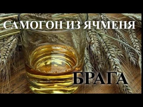 Видео: ГОНИМ САМОГОН.БРАГА ИЗ ЯЧМЕНЯ,ПШЕНИЦЫ ЧАСТЬ 1.