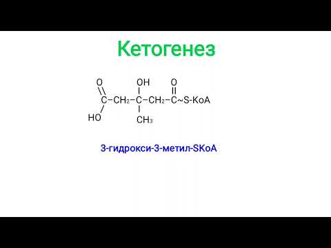 Видео: Кетогенез
