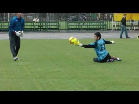 Видео: Шах. Школа вратарей Д.Гуленкова.