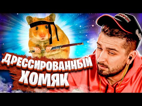 Видео: HARD PLAY СМОТРИТ 30 МИНУТ ПРИКОЛЫ / РЕАКЦИЯ ХАРД ПЛЕЙ СМЕШНЫЕ ВИДЕО , ТЕСТ НА ПСИХИКУ , ЮМОР , COUB