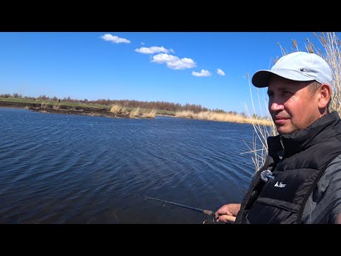 Видео: 🐋Выезд перед запретом на змей Голову. Не подалеку от города Уштобе #fihing #Рыбалканазмейголову