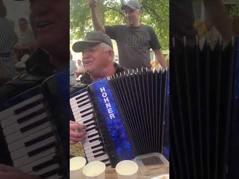 Видео: Даргинская песня под гармошку в интересной компании. Всем наилучшие песни