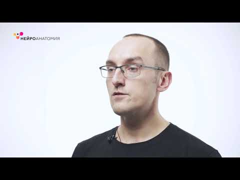 Видео: Упражнения для тренировки памяти и улучшения внимания