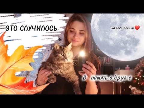 Видео: Пусть навсегда останется в мировой памяти.