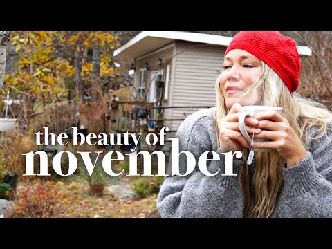 Видео: Привет, ноябрь // экономные уютные сокровища для дачи, выпечка, + прогулки на природе