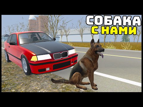 Видео: ЗАБРАЛ Брошенную СОБАКУ НА ТРАССЕ! - Mon Bazou