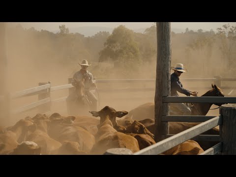 Видео: (Сезон 1) - E3 «Стоуни-Крик»