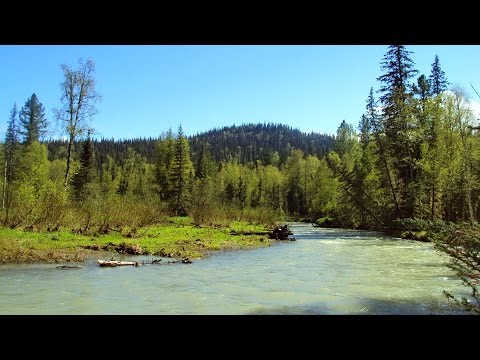 Видео: Путь в Шалтырскую долину (Кузнецкий Алатау, тайга, река, Кийский Шалтырь, отдых, туризм, изба)