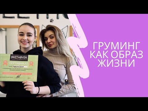 Видео: Груминг Как Образ Жизни  Как Открыть Салон Для Животных С Нуля? История Проекта Beethoven