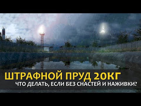 Видео: Русская Рыбалка 4 - Стрим. Штрафной пруд, как там ловить без снастей и наживки.