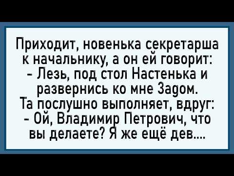 Видео: Как начальник секретаршу на работу принимал! Сборник свежих анекдотов!