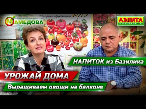 Видео: Выращиваем ОВОЩИ НА БАЛКОНЕ. УРОЖАЙ ДОМА. Напиток из Базилика