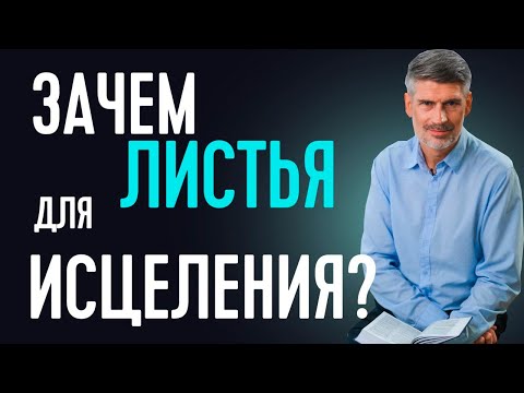 Видео: Зачем на Новой Земле листья для исцеления?