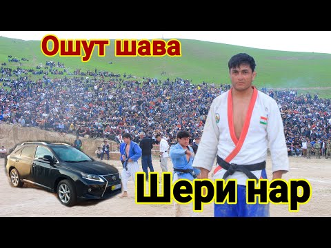 Видео: Шери нари точик мошина бурд. Гуштини Ёвон. гуштин 2025