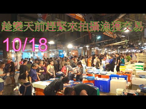 Видео: 10/18, пока погода не испортилась, я пришёл сюда, чтобы заснять рыбный промысел. Рыболовные суда ...