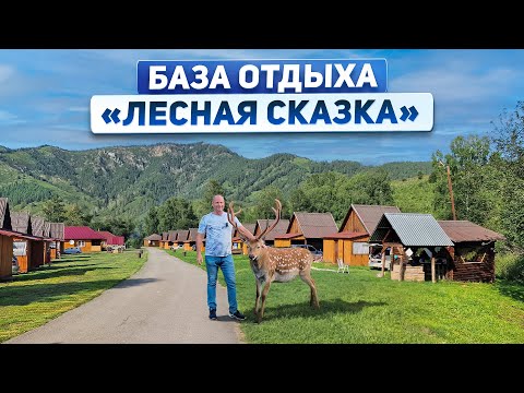 Видео: Обзор Тополинского маральника с базой отдыха "Лесная сказка" в Алтайском крае