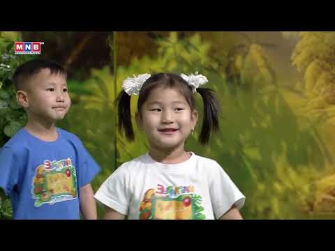 Видео: Зугаатай аялал #4