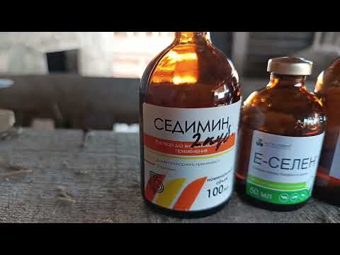 Видео: Вакцины для ОВЕЦ