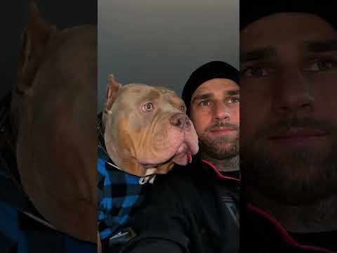 Видео: Есть кому