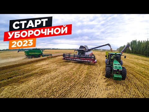 Видео: Начали уборку урожая в пять комбайнов: John Deere, РСМ-161, прицеп-перегрузчик и грузовики Камаз.