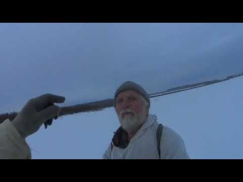 Видео: ОХОТА С ГОНЧИМИ, ГРЭЙ ГОНИТ, ДЯДЯ МИША МАЖЕТ…