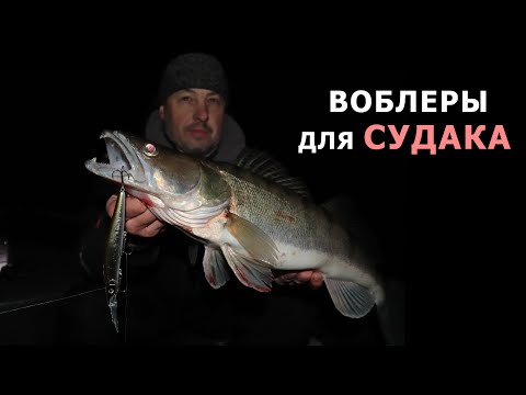 Видео: СУДАК КЛЮЕТ КАК ИЗ ПУЛЕМЕТА!!! Ночная РЫБАЛКА на СУДАКА с Лодки WindBoat 42 EVO!