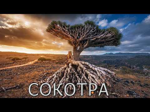 Видео: Сокотра: Таинственный Остров Драконов, Инопланетных Пейзажей и Древней Истории!
