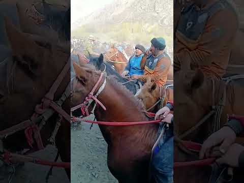 Видео: 8 ноября 2025 г.