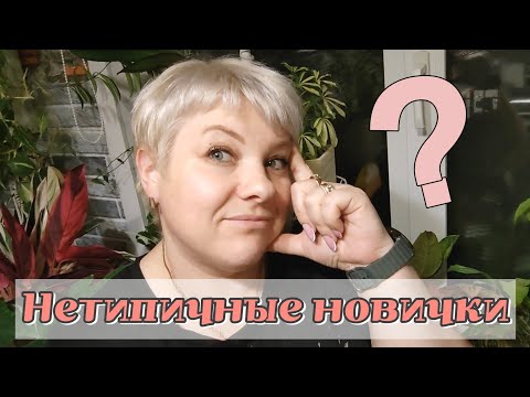 Видео: Новые растения в коллекции | Нетипичные для меня новинки