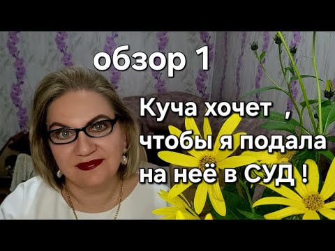 Видео: Куча хочет, чтобы я подала на неё в СУД❗️